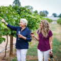 Explore the World of Winemaking in Wheat Ridge, Colorado