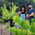 Exploring the Finest Wines of Wheat Ridge, Colorado