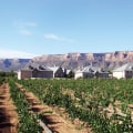 Exploring Educational and Informational Programs at Wineries in Wheat Ridge, Colorado