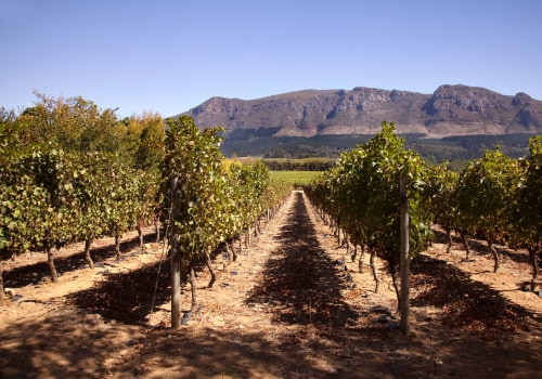 Exploring the Rich Winemaking History of Wheat Ridge, Colorado
