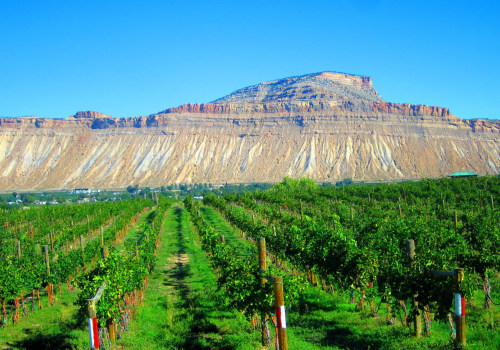 Explore the Finest Wineries in Wheat Ridge, Colorado