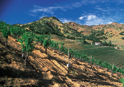 Do Wineries in Wheat Ridge, Colorado Have a Social Media Presence?
