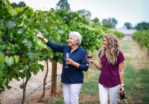Explore the World of Winemaking in Wheat Ridge, Colorado