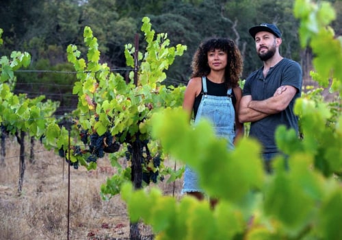 Exploring the Finest Wines of Wheat Ridge, Colorado