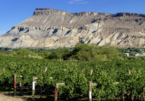 Exploring the Enchanting Wineries of Wheat Ridge, Colorado