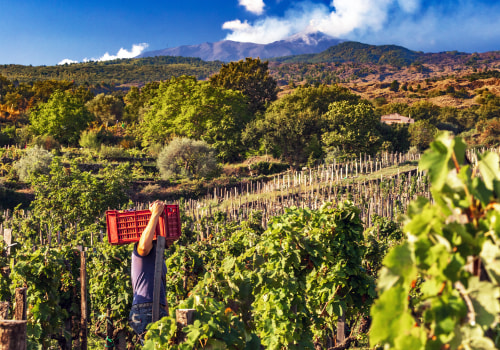 Exploring the Finest Wineries in Wheat Ridge, Colorado